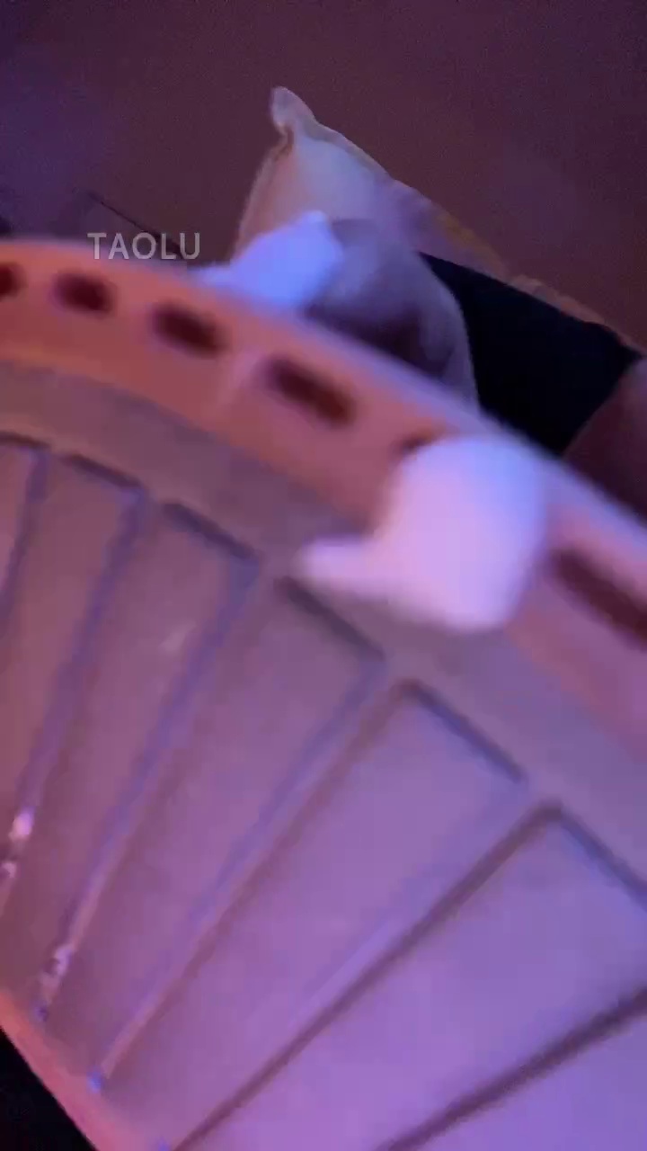 不知名美女 (37)